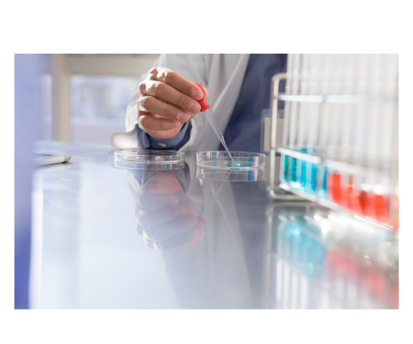 The Purpose of Preclinical Testing A Pillar of Drug Development LIDE